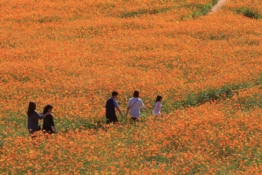 호텔 마에스트로 (1).jpg