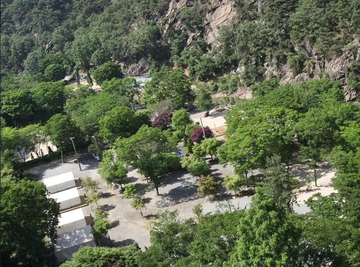 태양힐링숲글램핑 (1).jpg