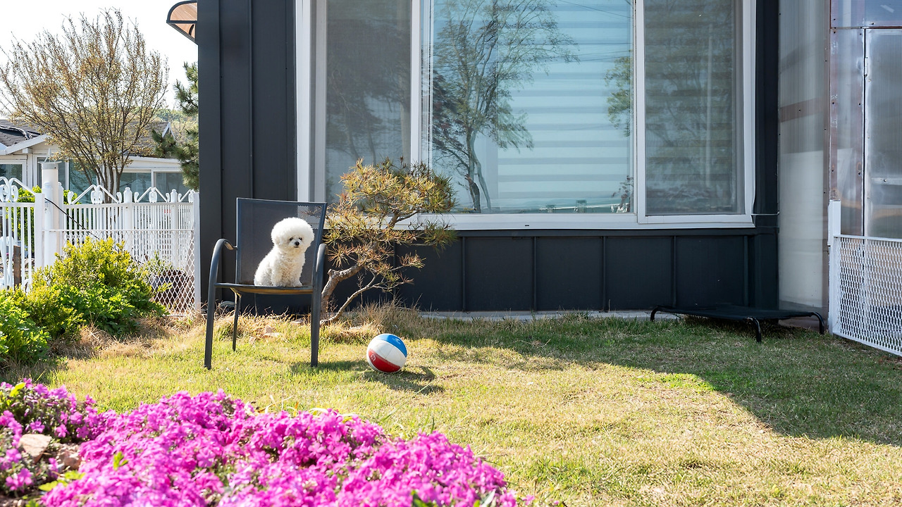 1_영흥도단체펜션_영흥도 노을 스파 애견동반 펜션 (3).jpg