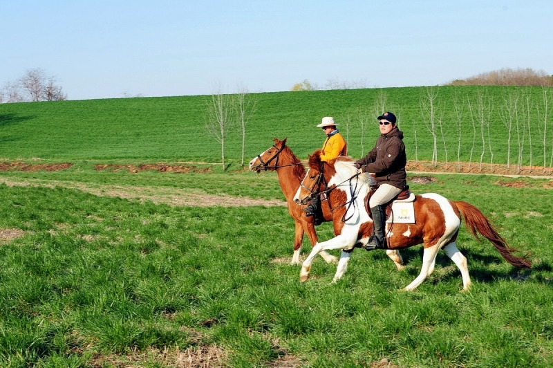 거먹골 한옥펜션  (1).jpg