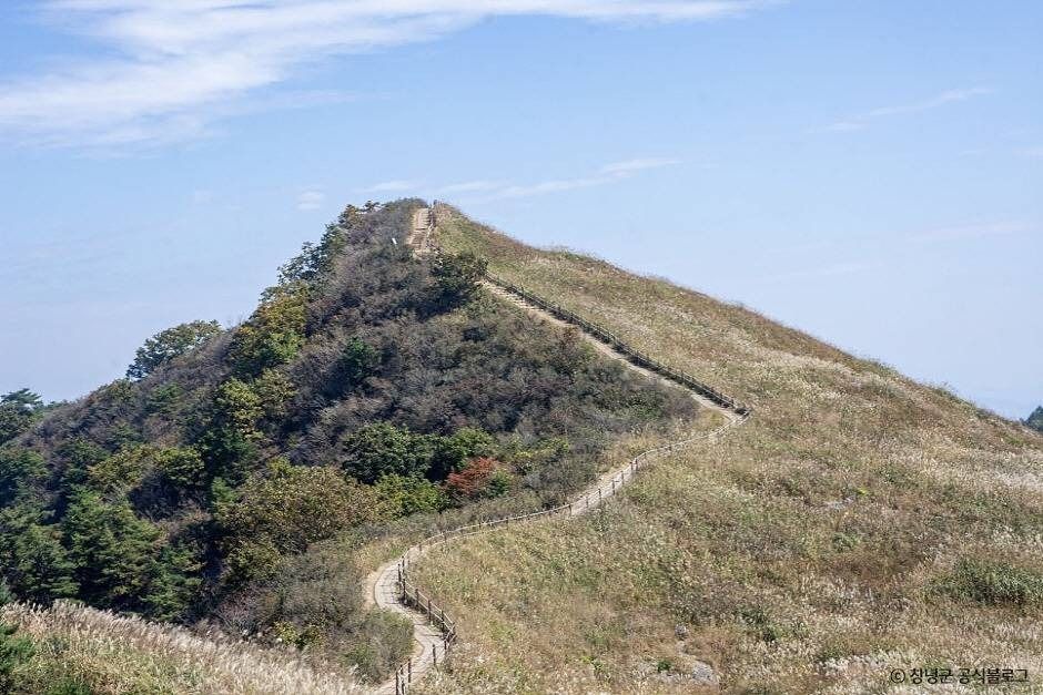 창녕스테이더담 (17).jpg