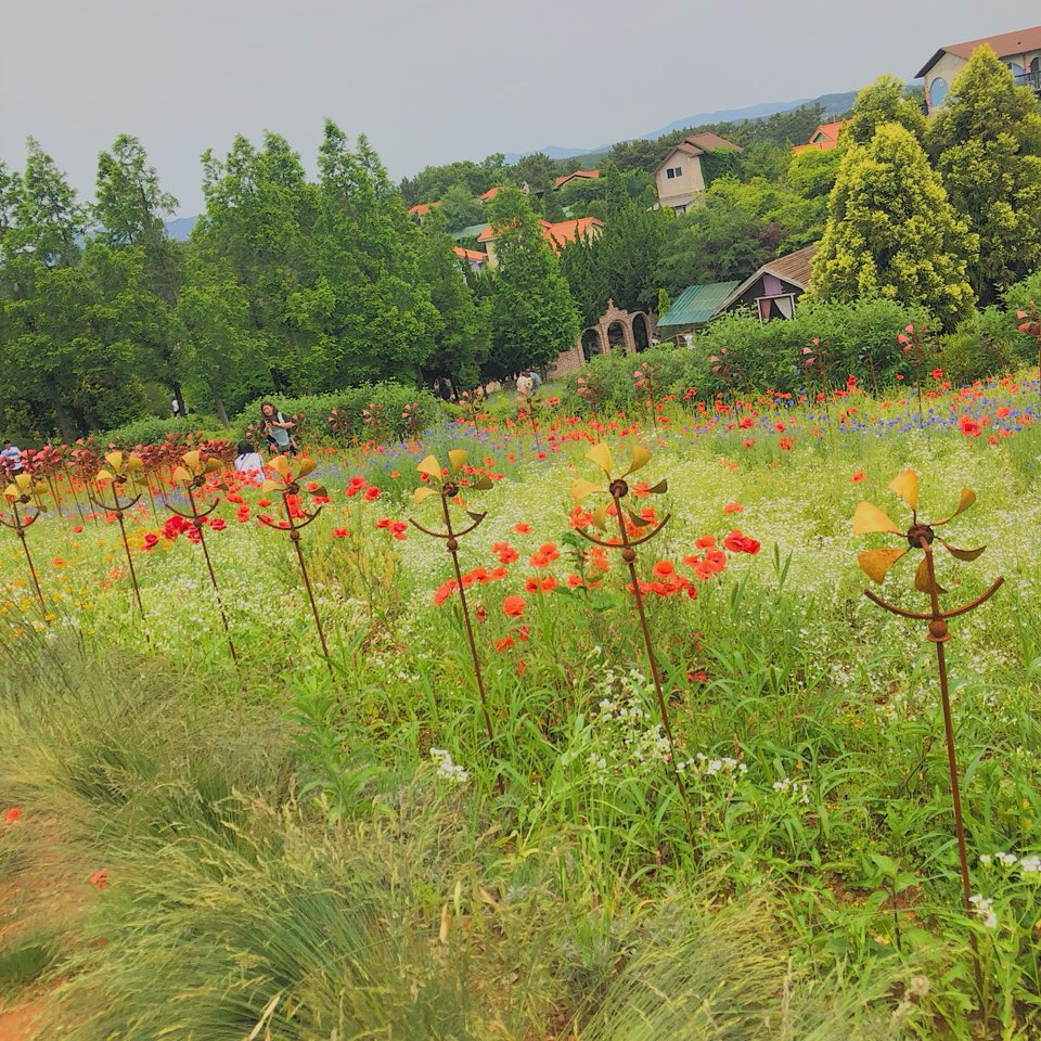 05 팜카밀레.jpg