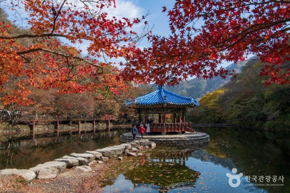 국내 가을 여행 메인 (3).jpg