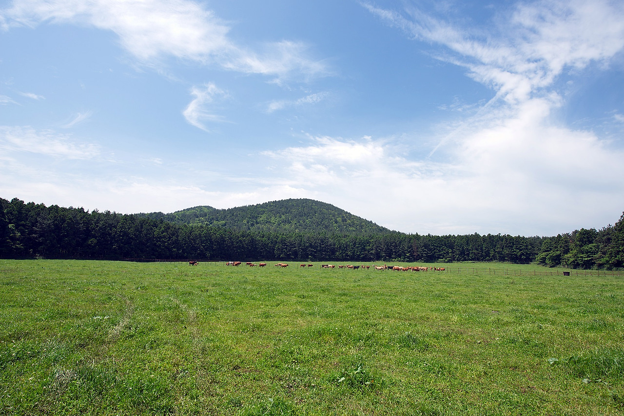 제주도 가족여행 야크마을 리조트 (16).jpg