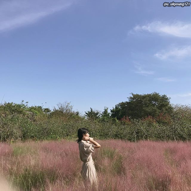 07 노리매공원.jpg