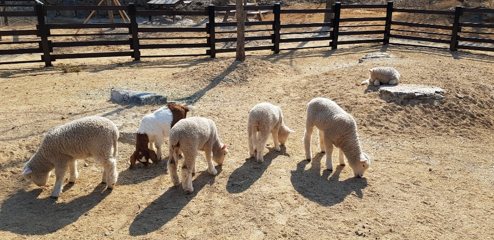 동화힐링테마파크 펜션 (6).jpg