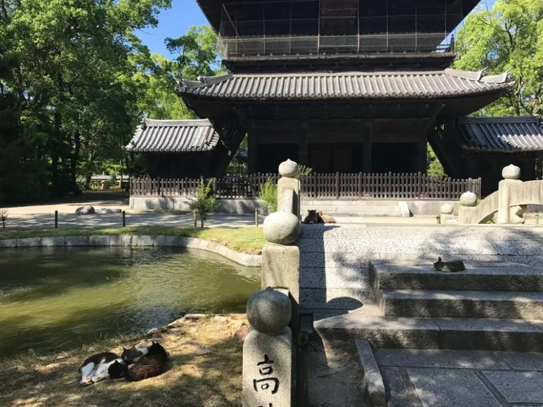 후쿠오카 프린스스마트인하카타_10.jpg