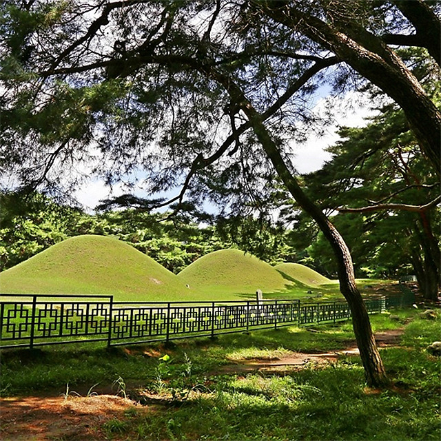 07 삼릉숲.jpg