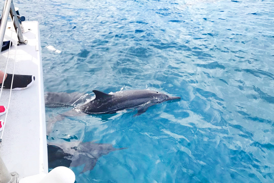 아기랑 해외여행지 추천_14.jpg