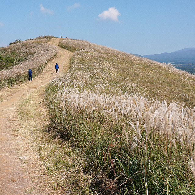 06 새별오름.jpg