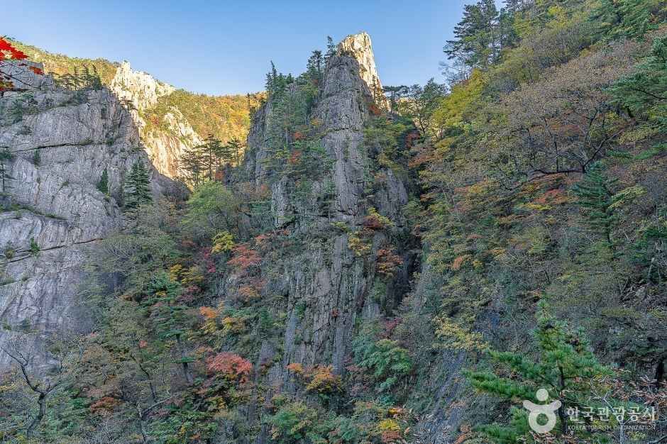 국내 가을 여행_속초 (1).jpg
