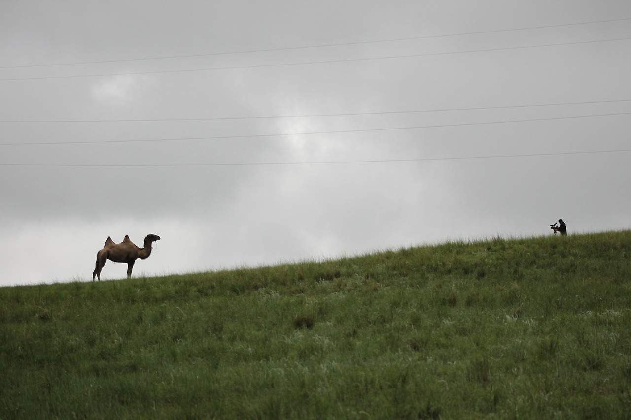 초원 낙타와 대화중.jpg