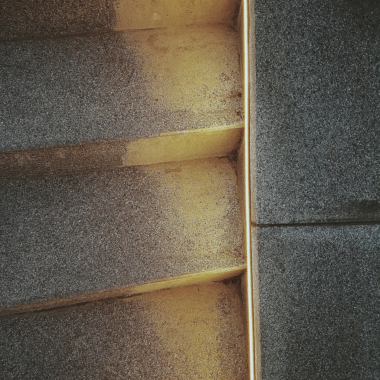 2019-03-16 10.20.47 1.jpg