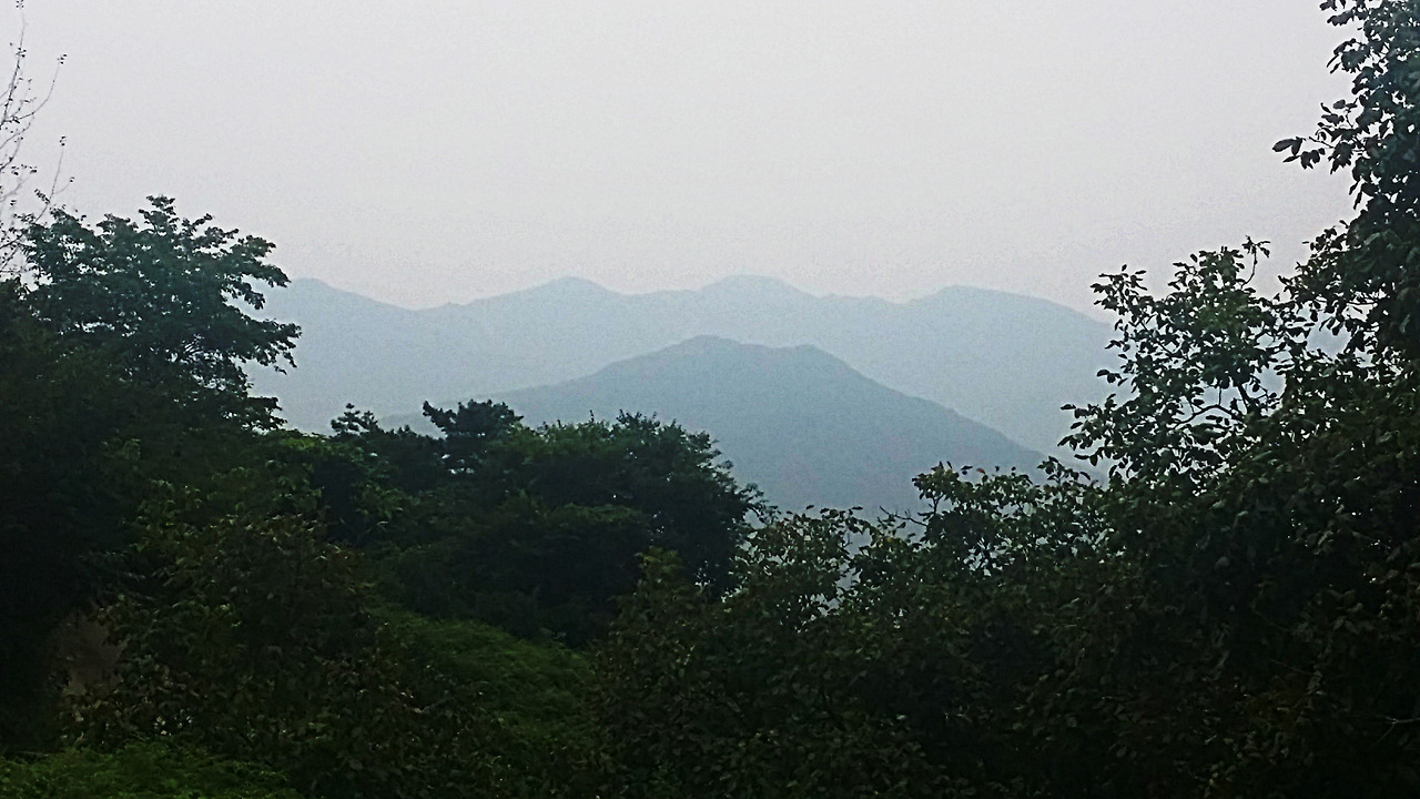 CYMERA_20150823_094135.jpg