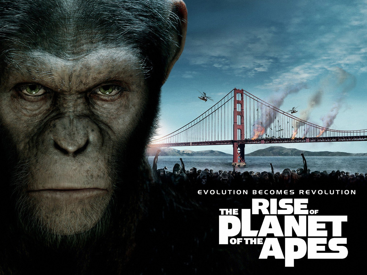 rise-of-planet-of-the-apes-4.jpg