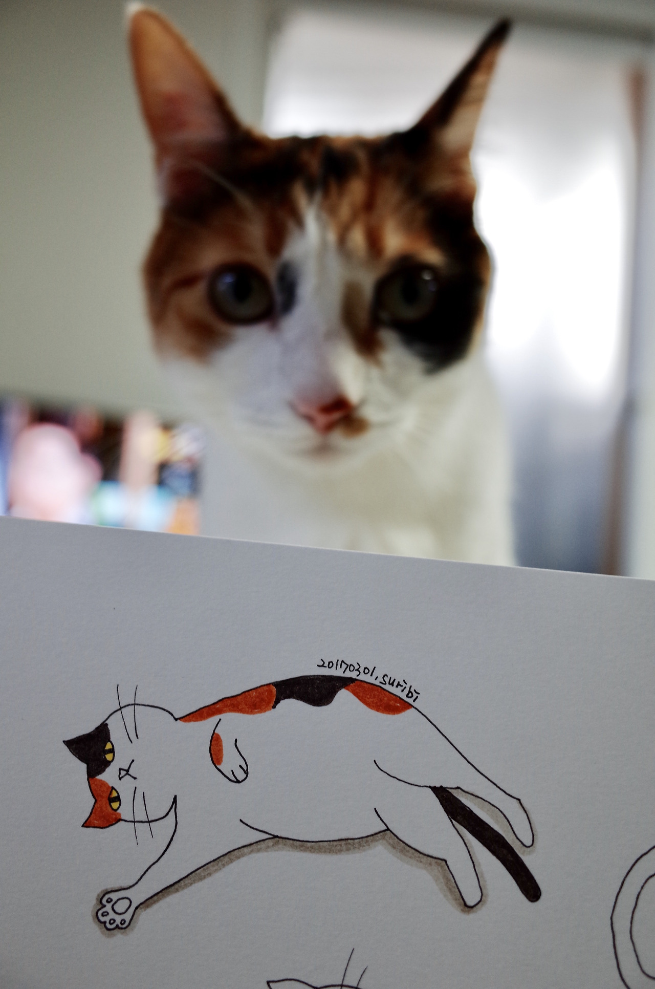 FullSizeRender 2.jpg