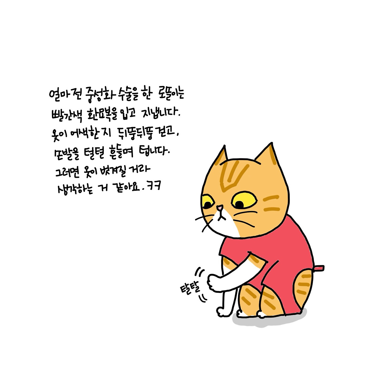KakaoTalk_20180130_091410357.jpg