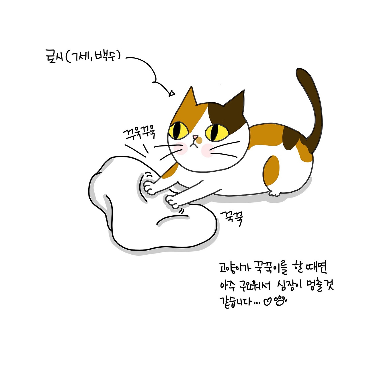 KakaoTalk_20180122_140624571.jpg