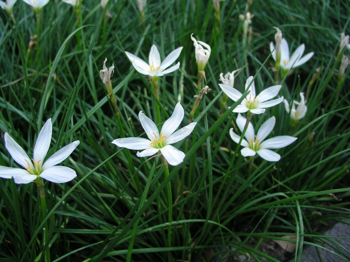 Lunch 6(700x525).jpg