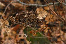 다운로드 (14).jpg