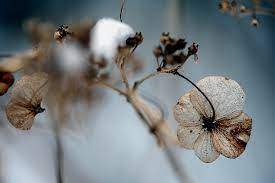 다운로드 (15).jpg