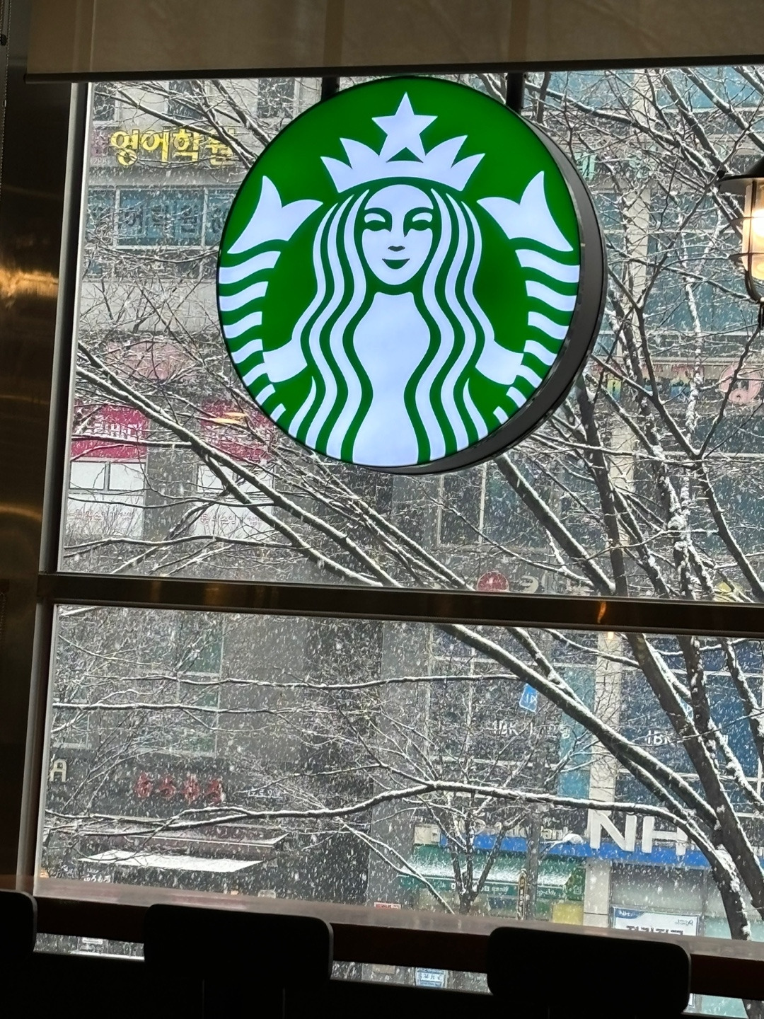 2023 snowy year end.jpg