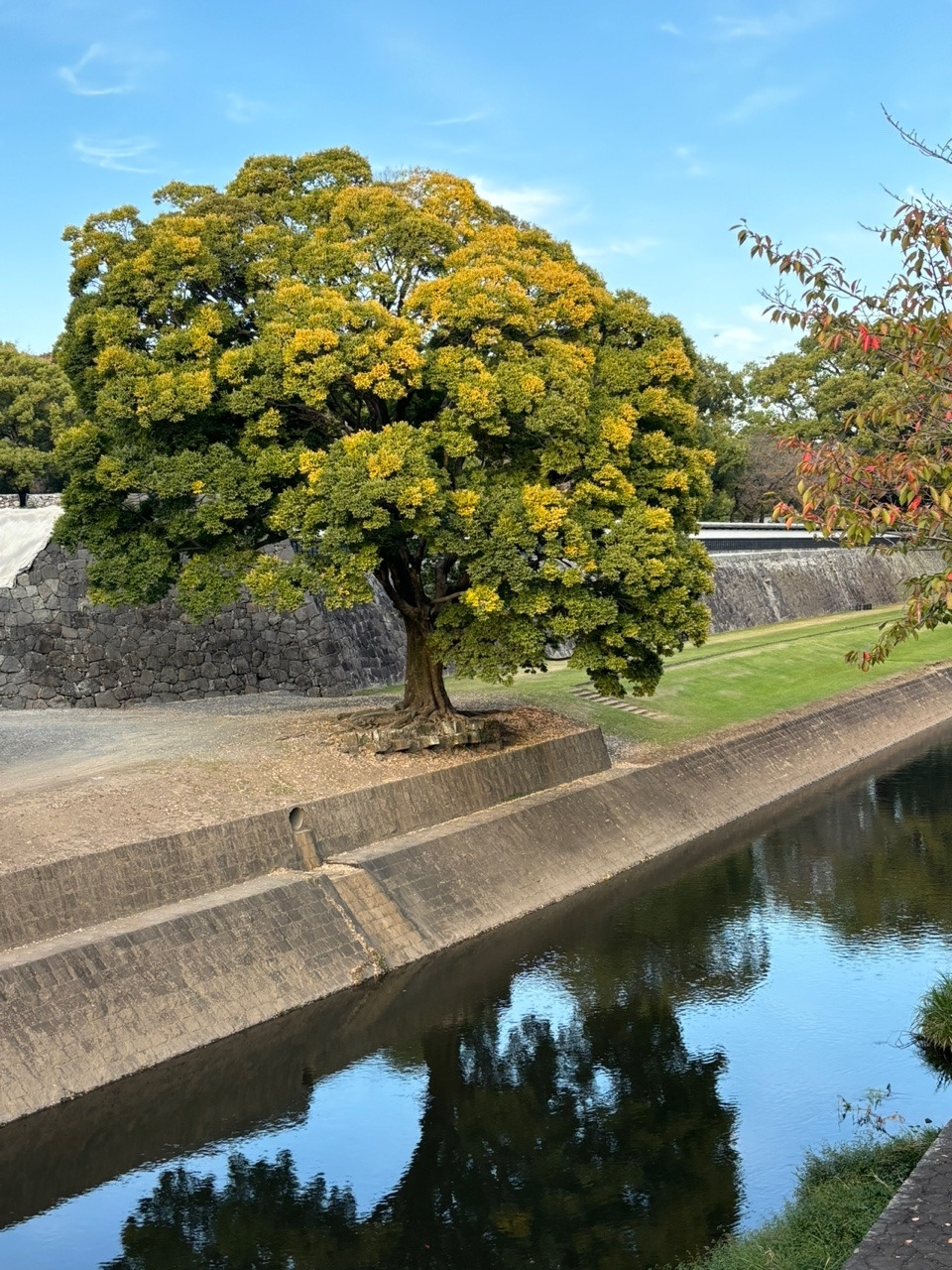 KakaoTalk_20231112_075153133_09 (1).jpg