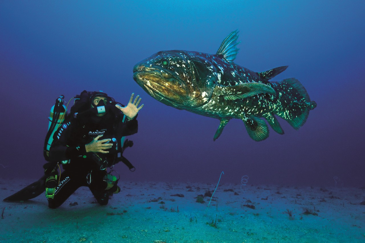 블랑팡_blancpain_coelacanth.jpg