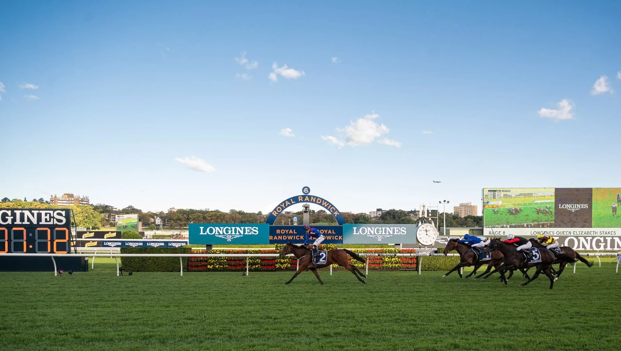 2023 Longines Queen Elizabeth Stakes Day.jpg