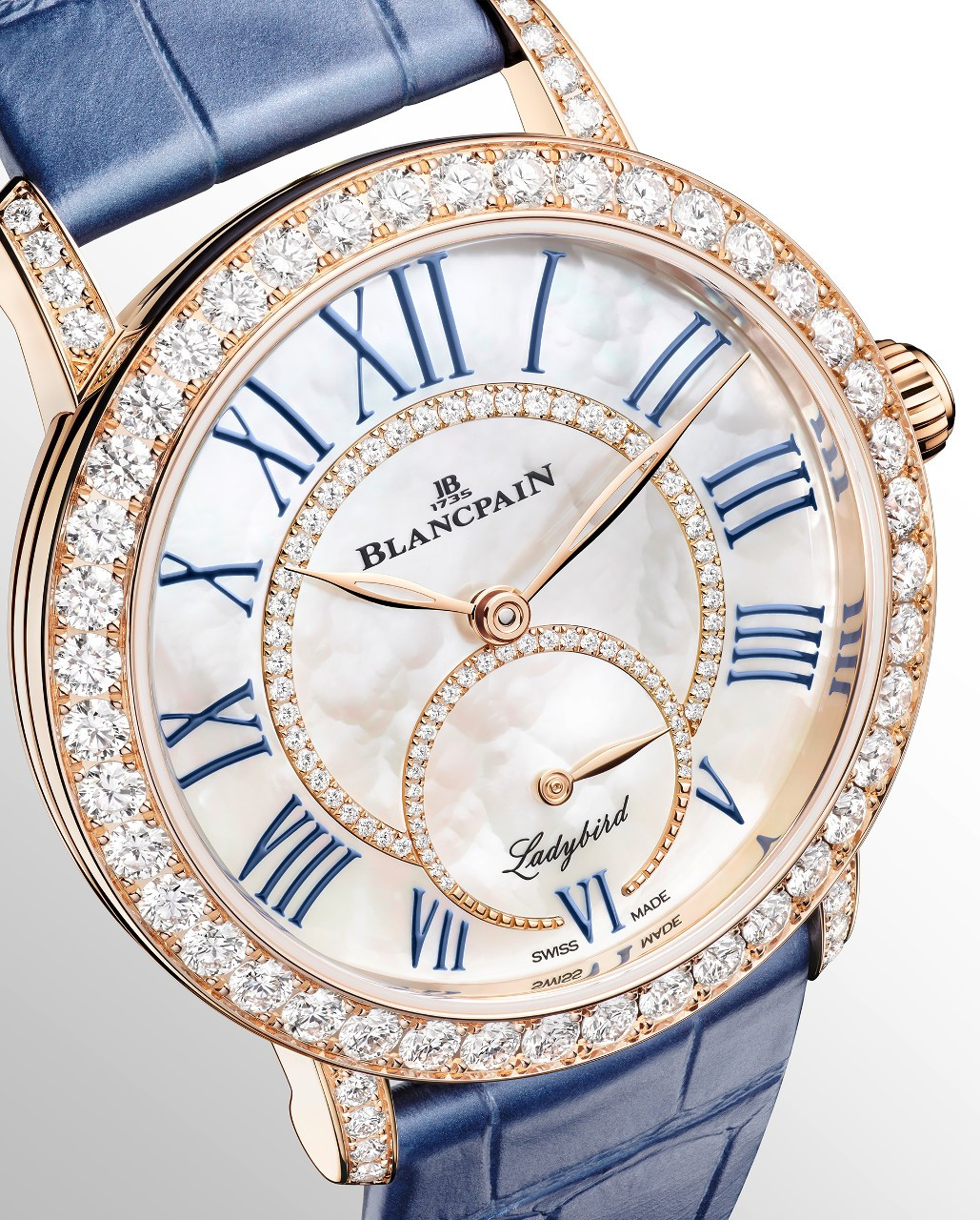 블랑팡_레이디버드 컬러즈_클로즈업.jpg