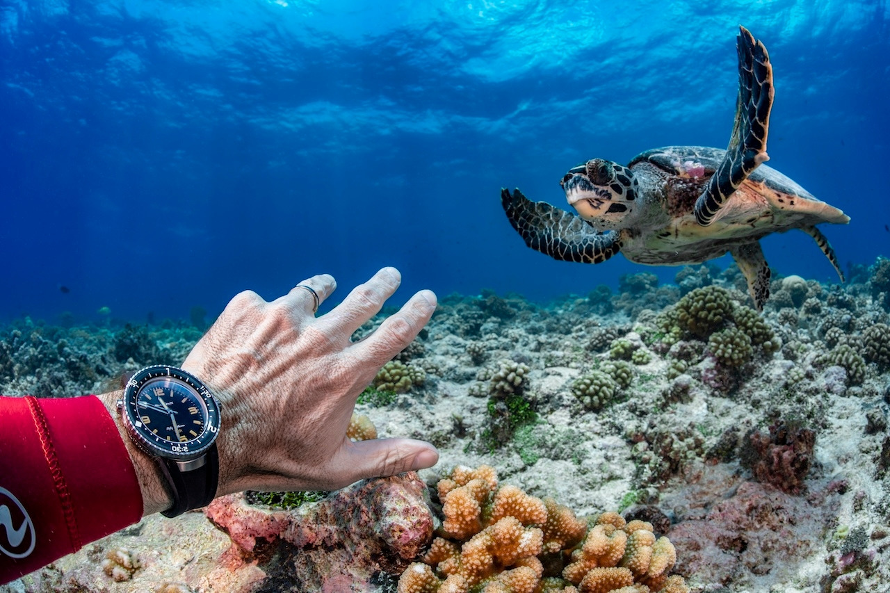 blancpain ocean commitment.jpg