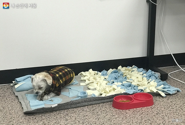 내손안에 서울8.jpg