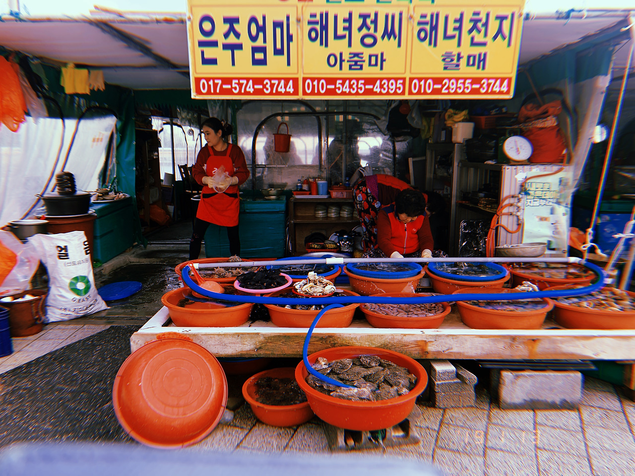 부산3_4.jpg