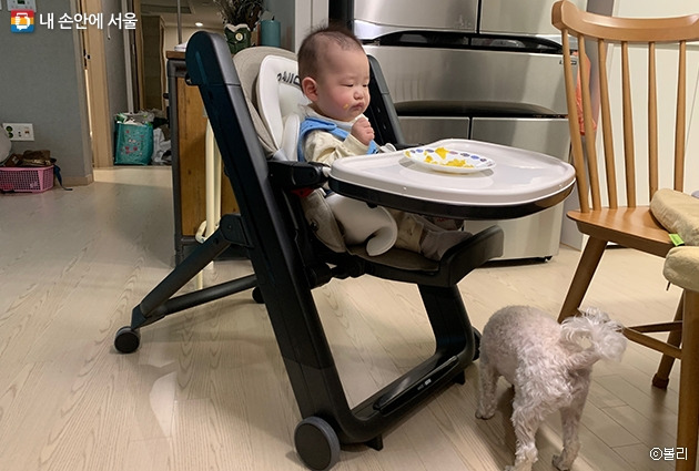 내손안에 서울7.jpg