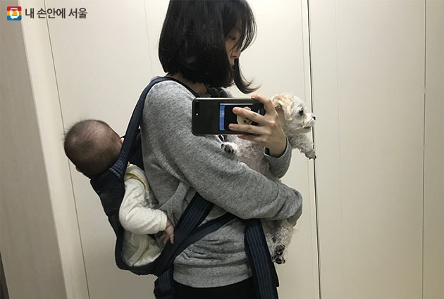 내손안에 서울.jpg