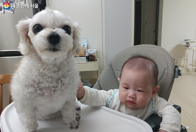 내손안에 서울5.jpg