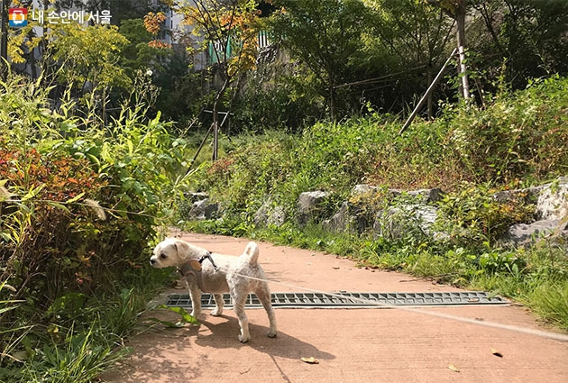 내 손안에 서울4.jpg