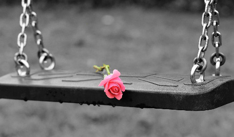 pink-rose-on-empty-swing-3656894_1920.jpg