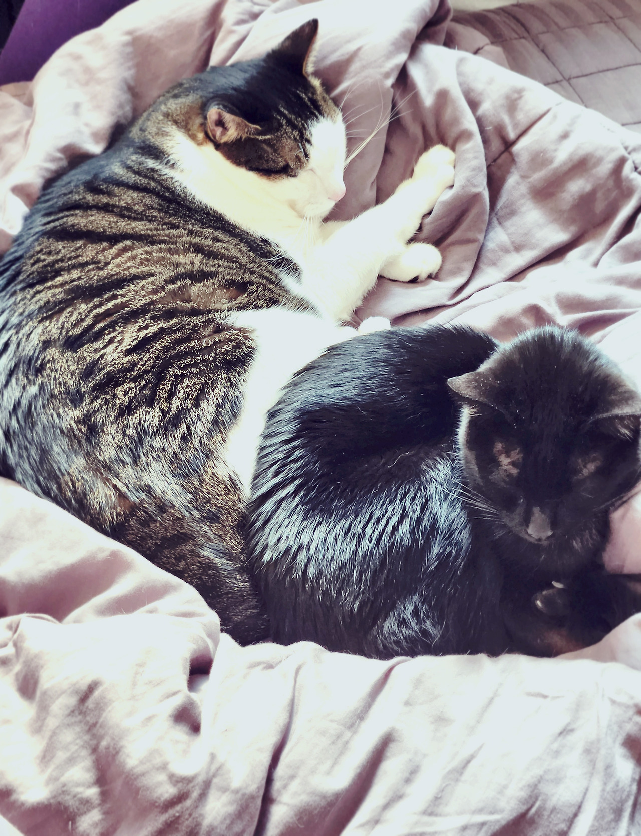 20231228_121739 (1).jpg