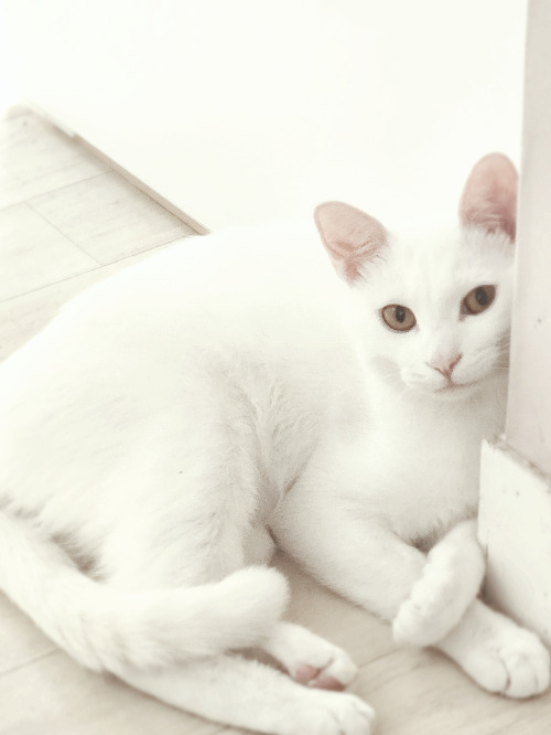 20231226_210709 (1).jpg