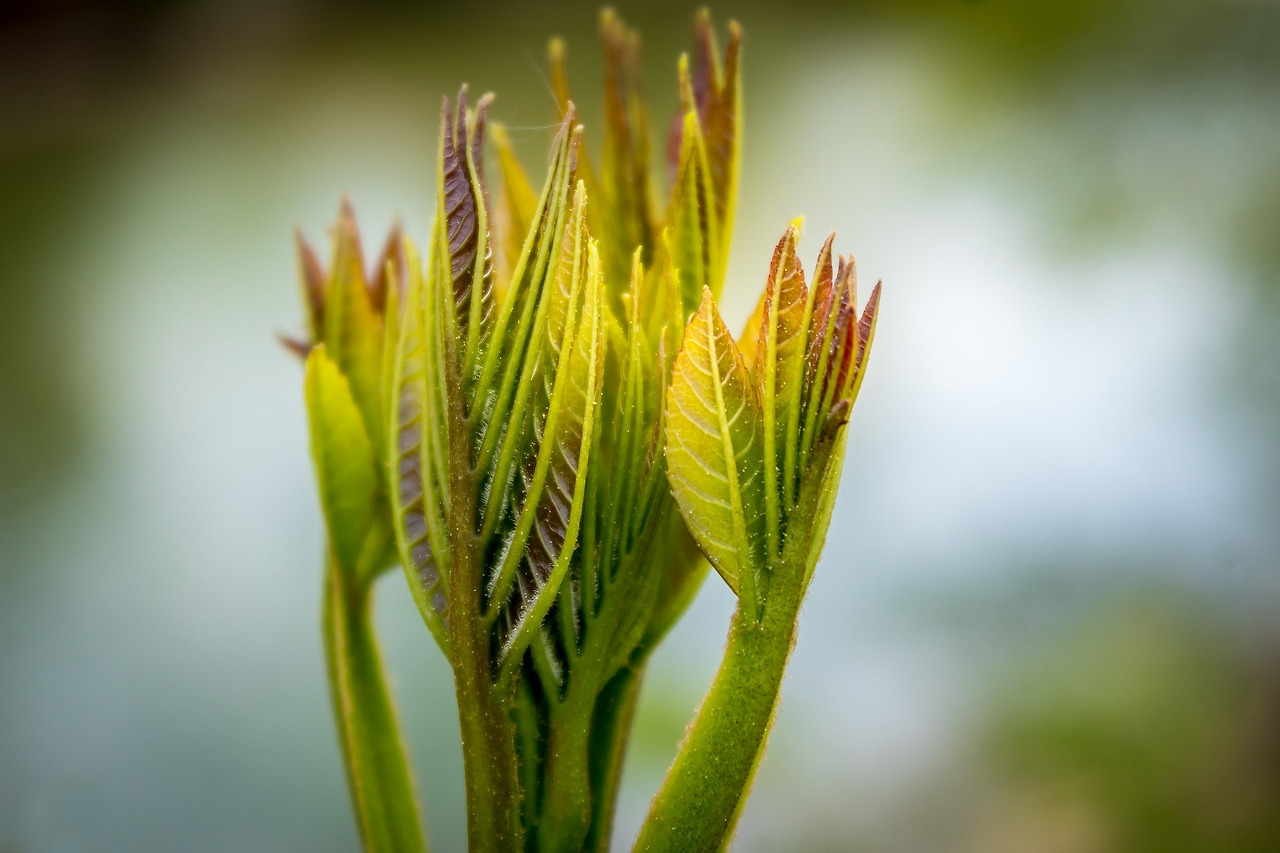 다운로드 (1).jpg