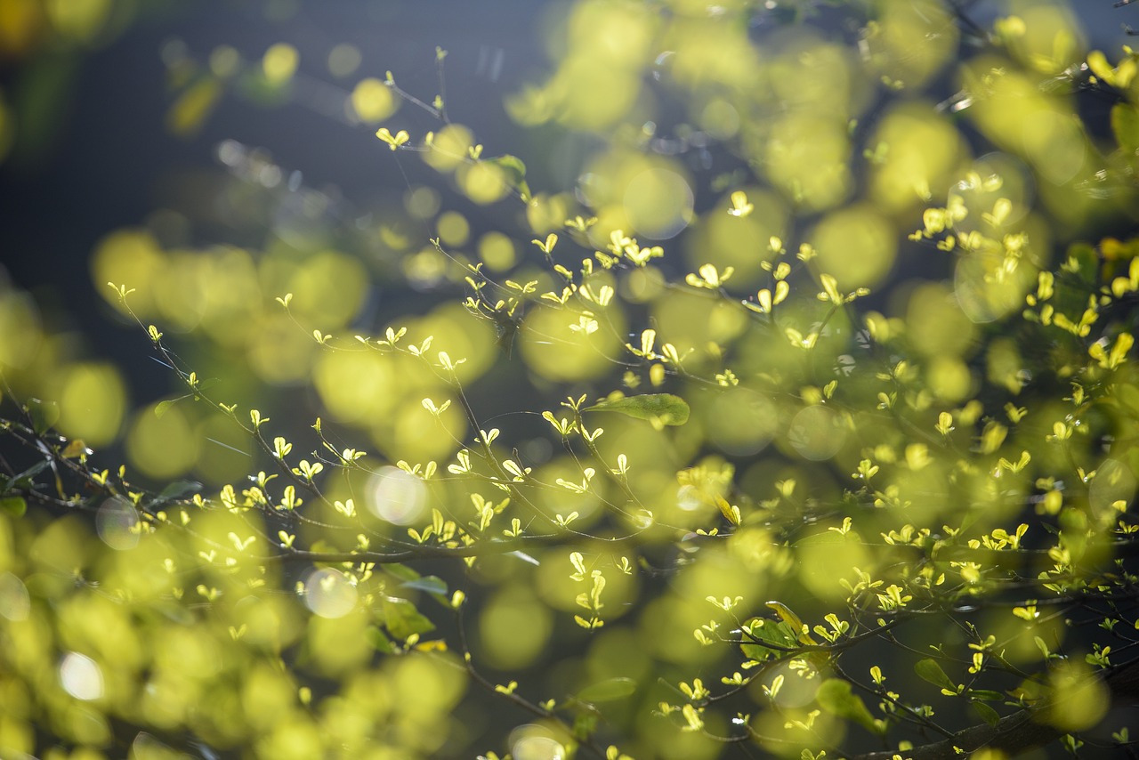 다운로드 (1).jpg