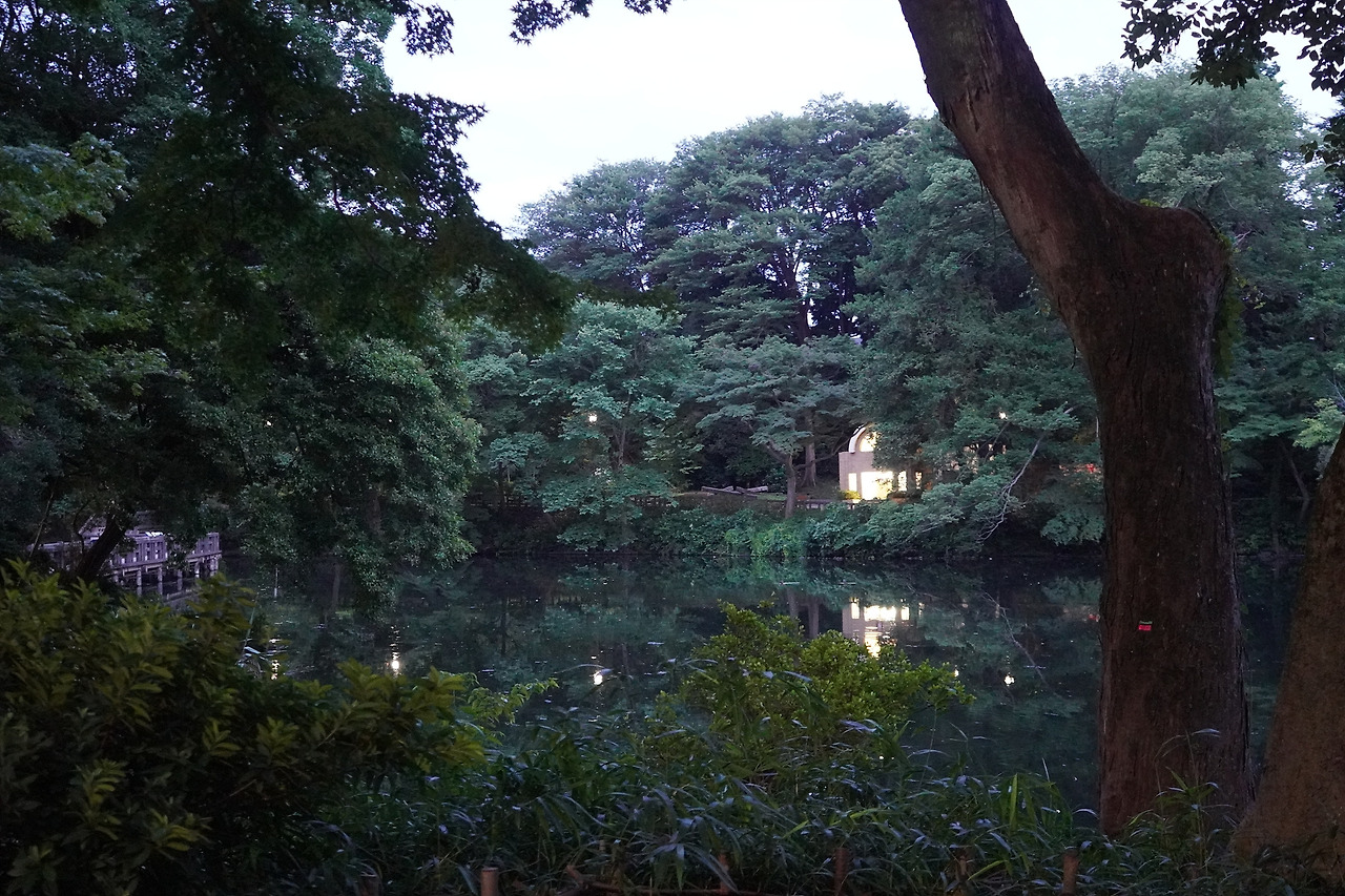 5_이노카시라 공원(2).jpg