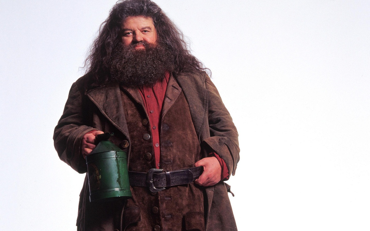 http-%2F%2Fimages6.fanpop.com%2Fimage%2Fphotos%2F32700000%2FRubeus-Hagrid-Wallpaper-hogwarts-professors-32796071-1280-800.jpg