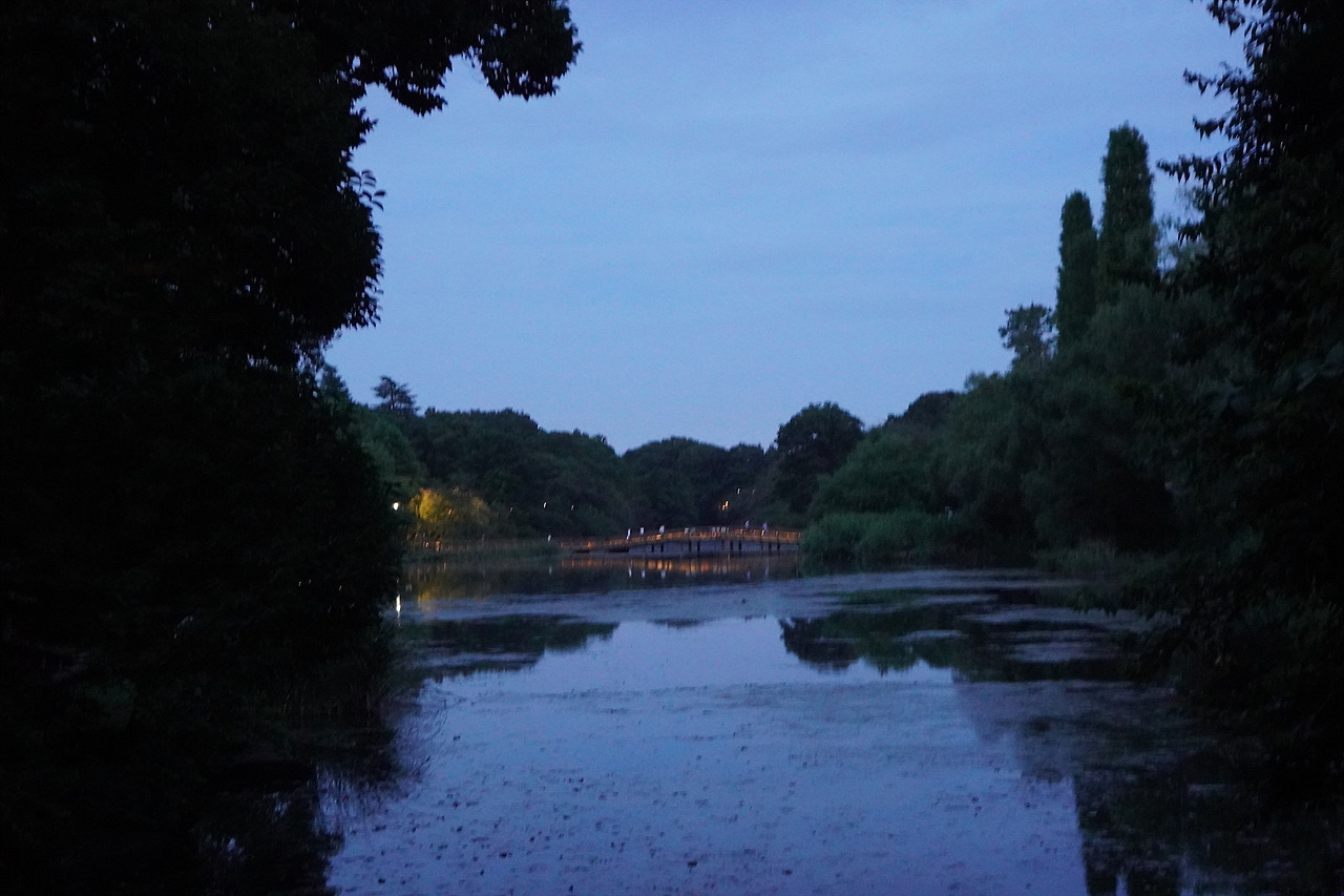 5_이노카시라 공원(3).jpg