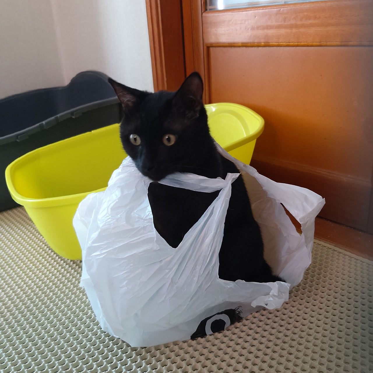 노아_패션 위크.jpg