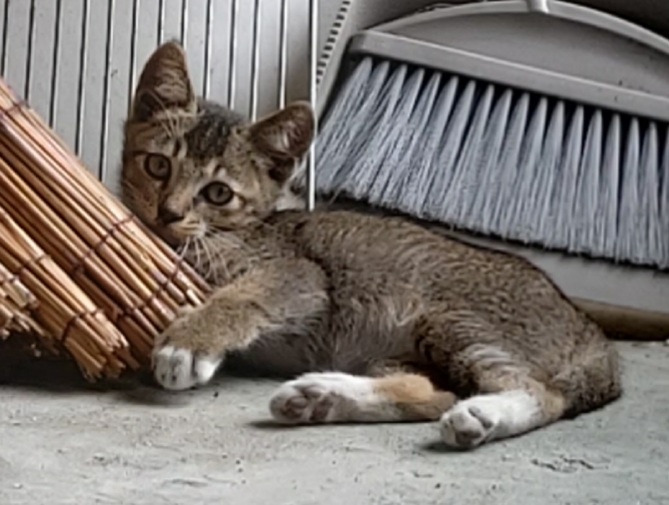 누리_대나무발 끌어안고 어필.jpg