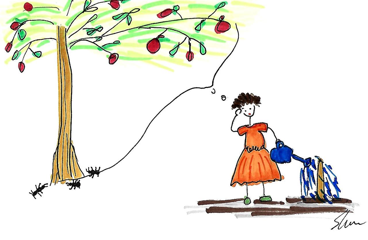 내가 심은 나무.jpg