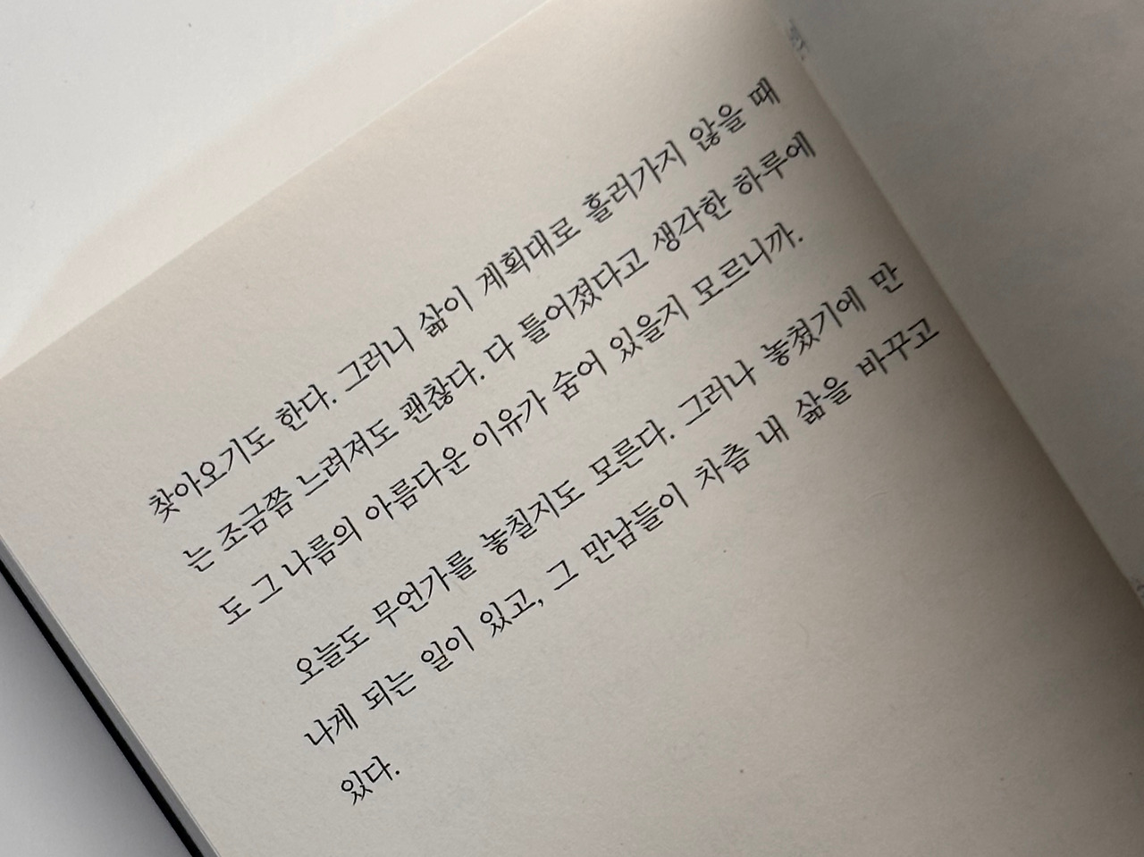 사진 2026. 3. 19. 오후 10 10 02.jpg