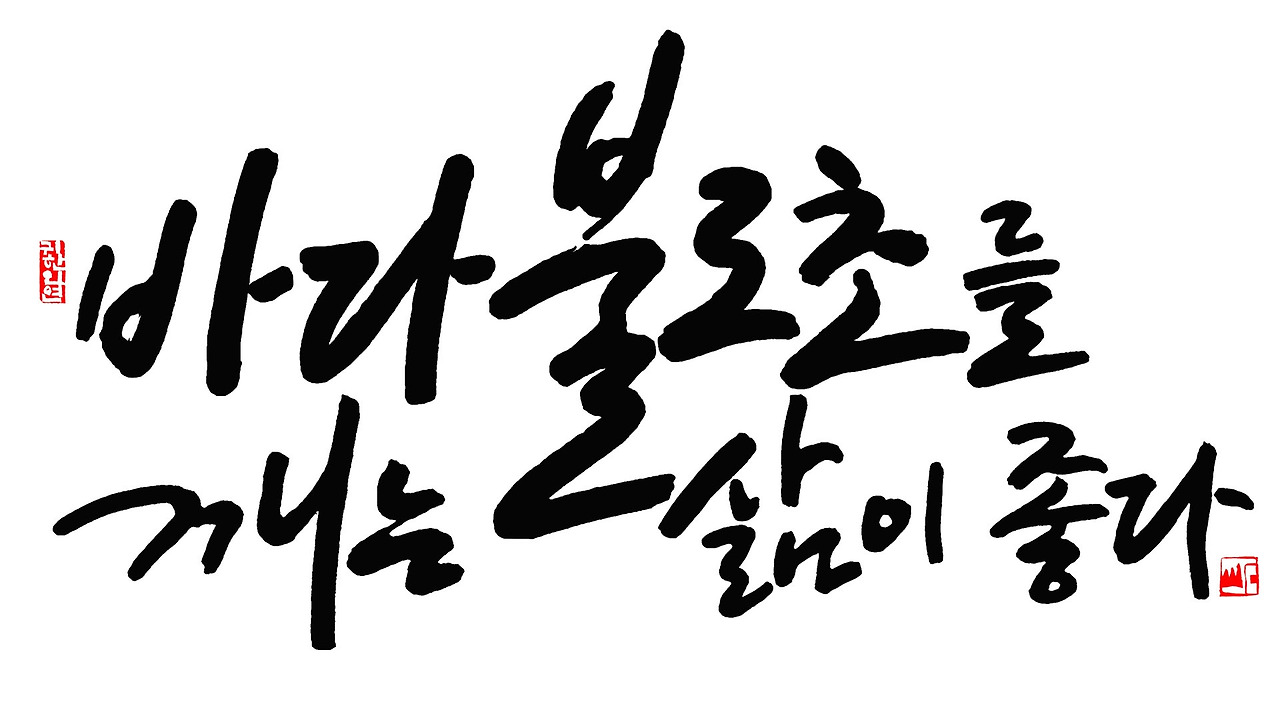 바다 부로초를 깨는 삶이 좋다1920 1080.jpg